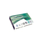 Evercopy Papier pour photocopie Premium A3, blanc, 80 g/m²,500 Blatt