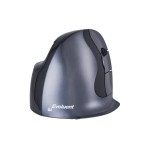 Evoluent Souris ergonomique Vertical D Small Wireless
