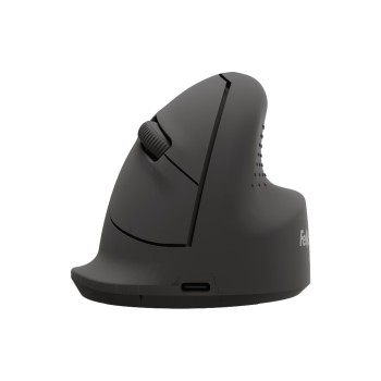 Fellowes Breyta Vertikalmaus, schwarz, Medium für Rechtshänder