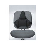 Fellowes Rückenstütze Professional, noir, 3-teiliges Memory Foam Kissen