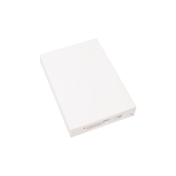Fischer Papier Papier pour photocopie A4, Blanc, 80 g/m², 2500 Feuille Fischer Papier Papier pour photocopie A4, Blanc, 80 g/m², 2500 Feuille