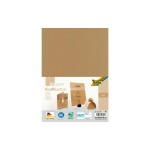 Folia Kraftpapier A4 230 g, 50 Blatt