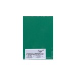 Folia Papier cartonné A4, 300 g/m², 50 feuilles, vert sapin