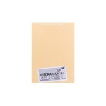 Folia Papier cartonné A4, 300 g/m², 50 feuilles, Beige