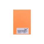 Folia Papier cartonné A4, 300 g/m², 50 feuilles, saumon