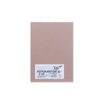 Folia Papier cartonné A4, 300 g/m², 50 feuilles, cappuccino