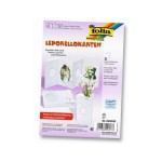 Folia Cartes Leporello 300g/m2 Blanc