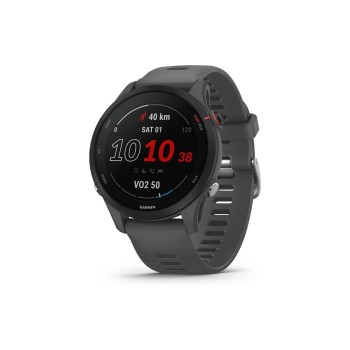 Garmin Forerunner 255 Basic, Farbe: schiefergrau, Grösse Gehäuse: 46mm Garmin Forerunner 255 Basic, Farbe: schiefergrau, Grösse Gehäuse: 46mm
