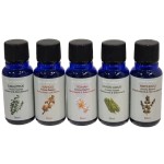 Goodsphere Beginners Harmony, 3x30ml