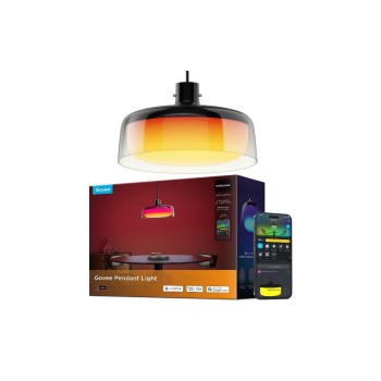 Govee Lampe suspendue 30 x 30 x 17.1 cm