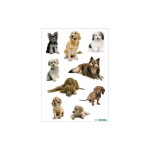 Herma Sticker Hundefotos, 3 Blatt, selbstklebend