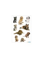 Herma Stickers Autocollant à motif Photos de chiens, 3 feuilles