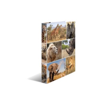 HERMA Classeur Afrique 2-Ring 3.5 cm, Multicolore HERMA Classeur Afrique 2-Ring 3.5 cm, Multicolore