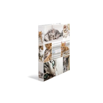 HERMA Classeur Chats 4 anneaux 3.5 cm HERMA Classeur Chats 4 anneaux 3.5 cm