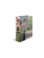 HERMA Dossier Oiseaux du pays 7 cm, Multicolore