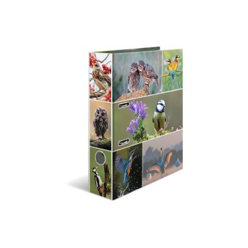 HERMA Dossier Oiseaux du pays 7 cm, Multicolore HERMA Dossier Oiseaux du pays 7 cm, Multicolore