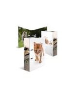 HERMA Motif classeur A4 Chat 1 pièce