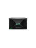 HPE Serveur ProLiant MicroServer Gen11 Intel Pentium Gold G7400