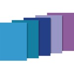Heyda Seidenpapier sortiert, 10 Bogen à 5 Farben, Grösse 50x70cm