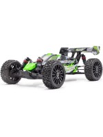 Hobbytech Buggy Rogue 2.0 Vert RTR 1:8