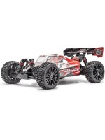 Hobbytech Buggy Spirit NXT EVO RR RTR Rouge