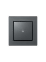 Homematic IP Wired Smart Home Bouton-poussoir mural Wired double, Anthracite