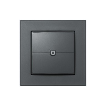 Homematic IP Wired Wandtaster 2-fach, anthrazit