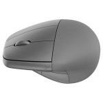 HP Souris 920 Ergo