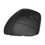 HP Souris ergonomique 925