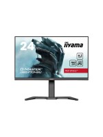 iiyama Moniteur G-Master GB2470HSU-B6