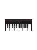 IK Multimedia Contrôleur clavier iRig Keys 2 Mini