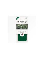 imao Aventures au Costa Rica Carte parfumée pour voiture en résine composite, verte