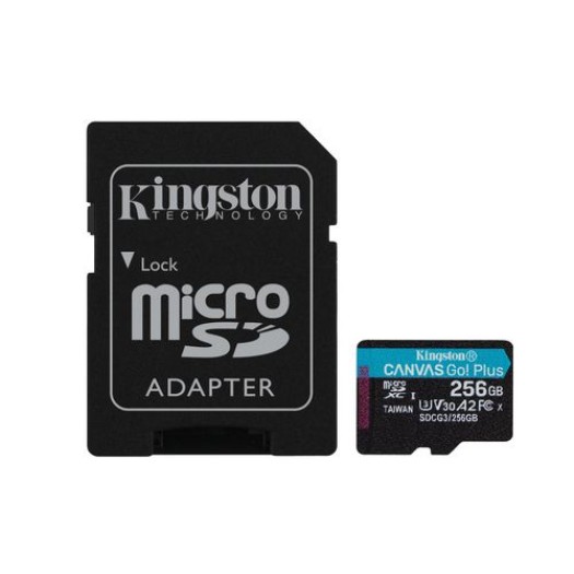 Kingston Carte microSDXC Canvas Go! Plus 256 GB