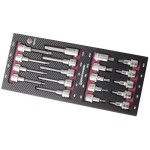 Completo EVA3 4903-04 Bit-Stecknussssatz, 19-t. EVA3 Bit-Stecknussssatz 1/2