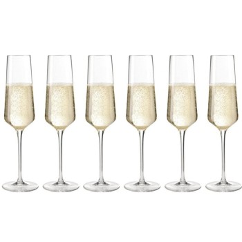 Leonardo Verre à champagne Puccini 280 ml, 6 Pièce/s, Transparent  Leonardo Verre à champagne Puccini 280 ml, 6 Pièce/s, Transparent