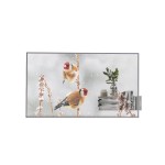 LG 55EW5P-M Public OLED Display, 55 FHD, OLED, 600cd/m2, 18/7, Transparent