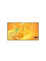 LG Ecran Public 65UH5Q-E 65