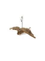 LIVING NATURE Fledermouse klein