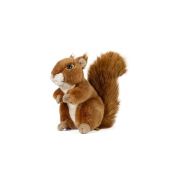 LIVING NATURE Eichhörnchen LIVING NATURE Eichhörnchen