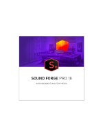 Magix Sound Forge Pro 18 ESD, Version complète