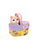 Max Bersinger Chaton S7 avec 3 bébés et panier
