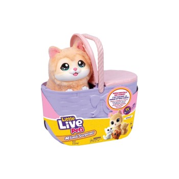 Max Bersinger Chaton S7 avec 3 bébés et panier