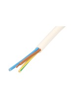 Max Hauri câble TD H05 VV-F3G1.5 10m blanc 3G1.5 10 m blanc