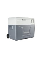Medion Glacière et congélateur MD13111 40 l