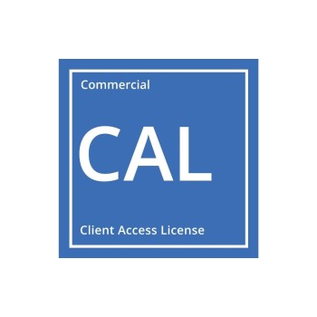 Windows Server 2022 RDS User CAL, 5er-Pack, OEM, Multilingual