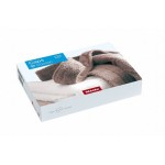 Miele Assouplisseur Caps Cocoon 9 x 40 ml
