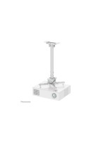NEOMOUNTS Supports mural CL25-540 Wh1 Blanc