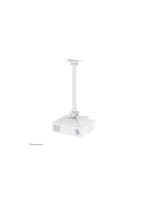 NEOMOUNTS Supports mural CL25-530 Wh1 Blanc