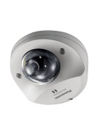 Panasonic Netzwerkkamera WV-S3532LM, Mini Dome, Outdoor, 1080p, H.265, Rugged