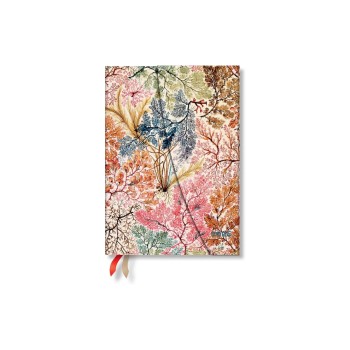 Paperblanks Tagesagenda Anemone, Midi, HOR, 1W/2S, 160 pages, 2026 Paperblanks Tagesagenda Anemone, Midi, HOR, 1W/2S, 160 pages, 2026